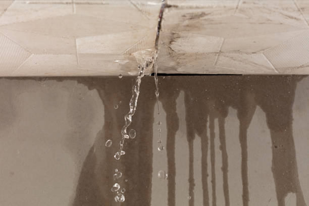 Professional Burst Pipe Cleanup technician working in Williston Park, NY